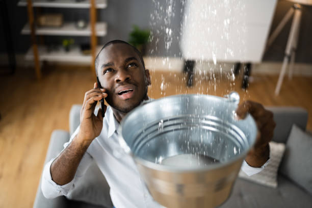 Best Sewage cleanup and water damage restoration  in Flora, MS