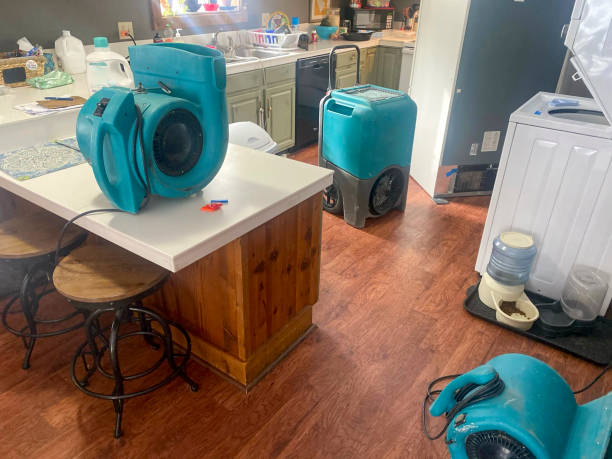 Best Professional water damage repair  in Flora, MS