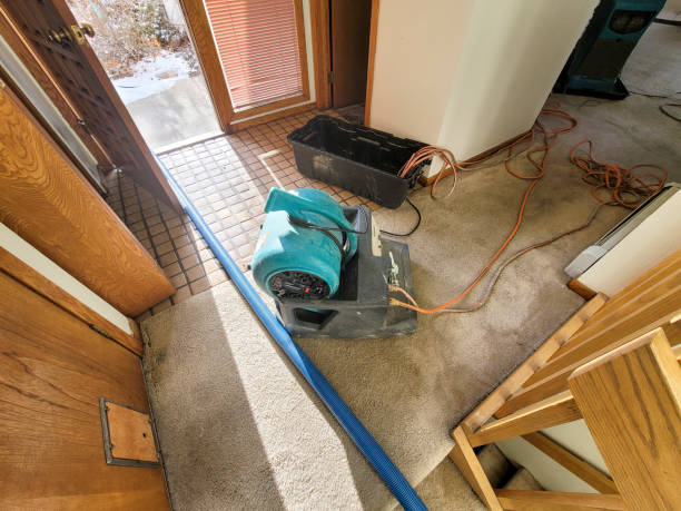 Best Flooded house restoration  in Flora, MS