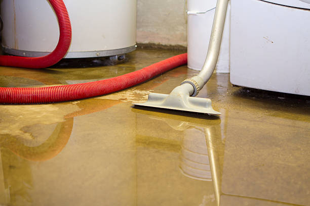 Best Ceiling water damage repair  in Flora, MS