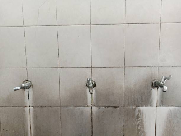 Best Basement water damage restoration  in Flora, MS