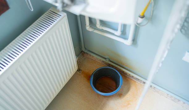 Best Flood restoration services  in Flora, MS