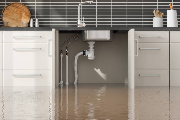 Best Mold removal after water damage  in Flora, MS