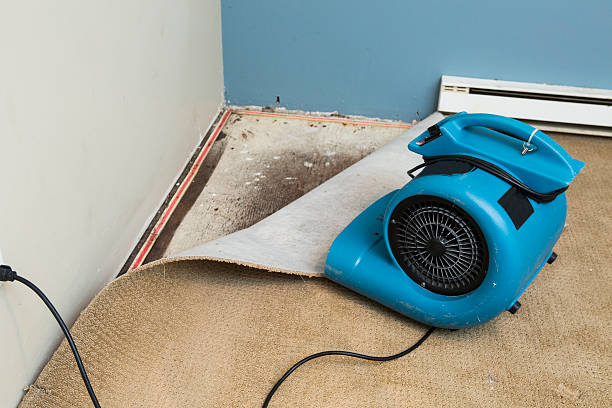 Best Flood restoration services  in Flora, MS
